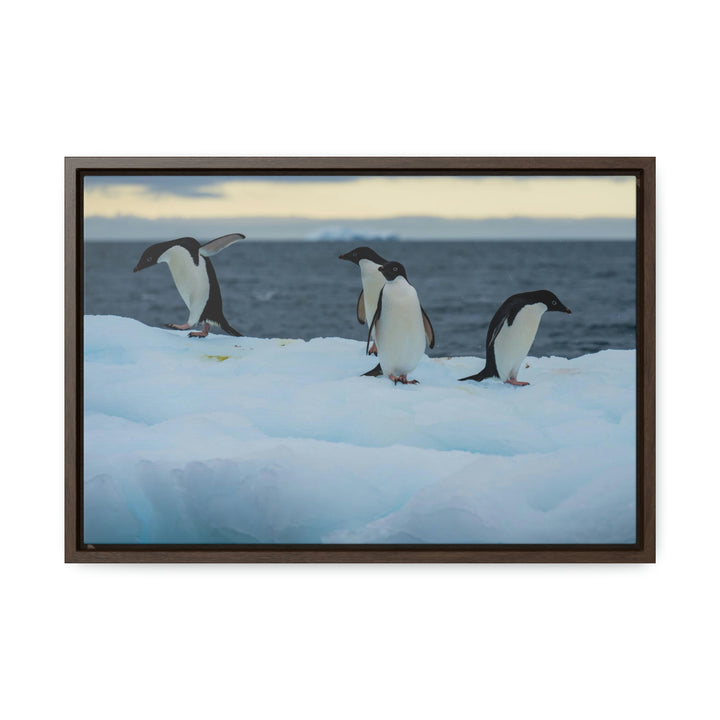 Penguin Dance - Canvas with Frame