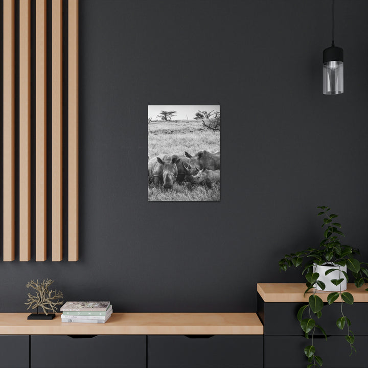 Rhino Family in Black and White - Canvas