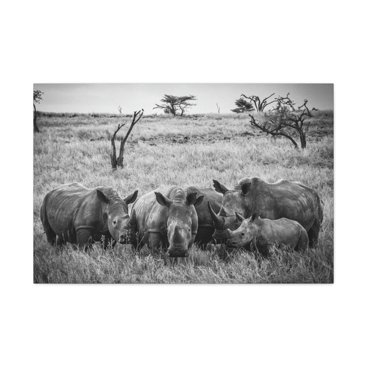 Rhino Family in Black and White - Canvas