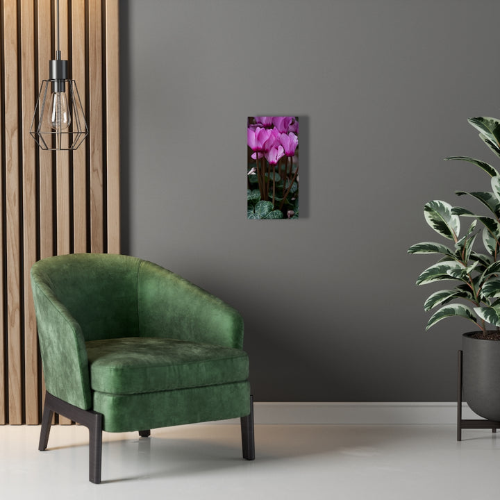 Cyclamen Reach - Canvas