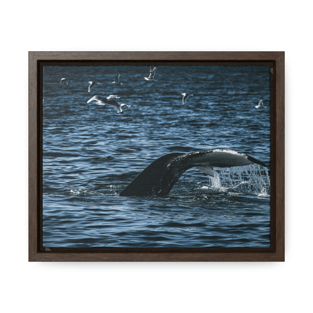 Feeding Tail - Canvas with Frame