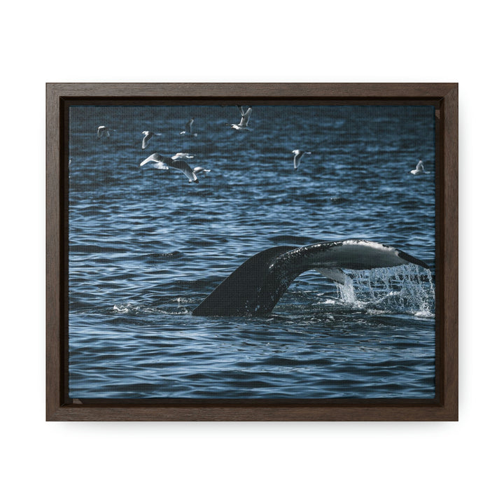 Feeding Tail - Canvas with Frame