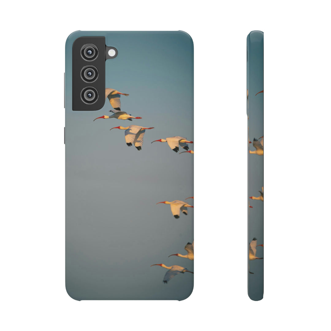 White Ibis in Flight - Phone Case