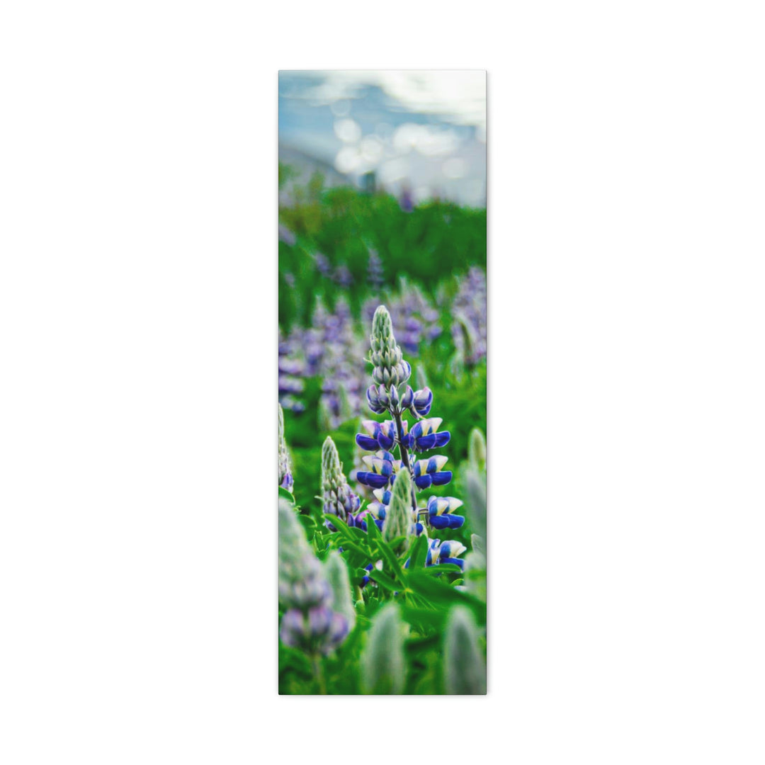 Glowing Lupin with Mountains - Canvas