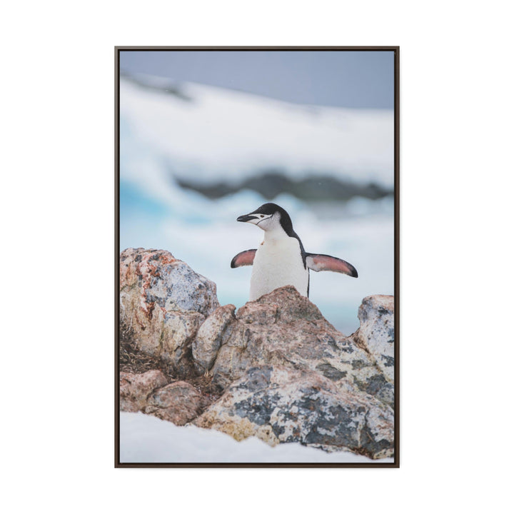 Stretched Penguin - Canvas with Frame