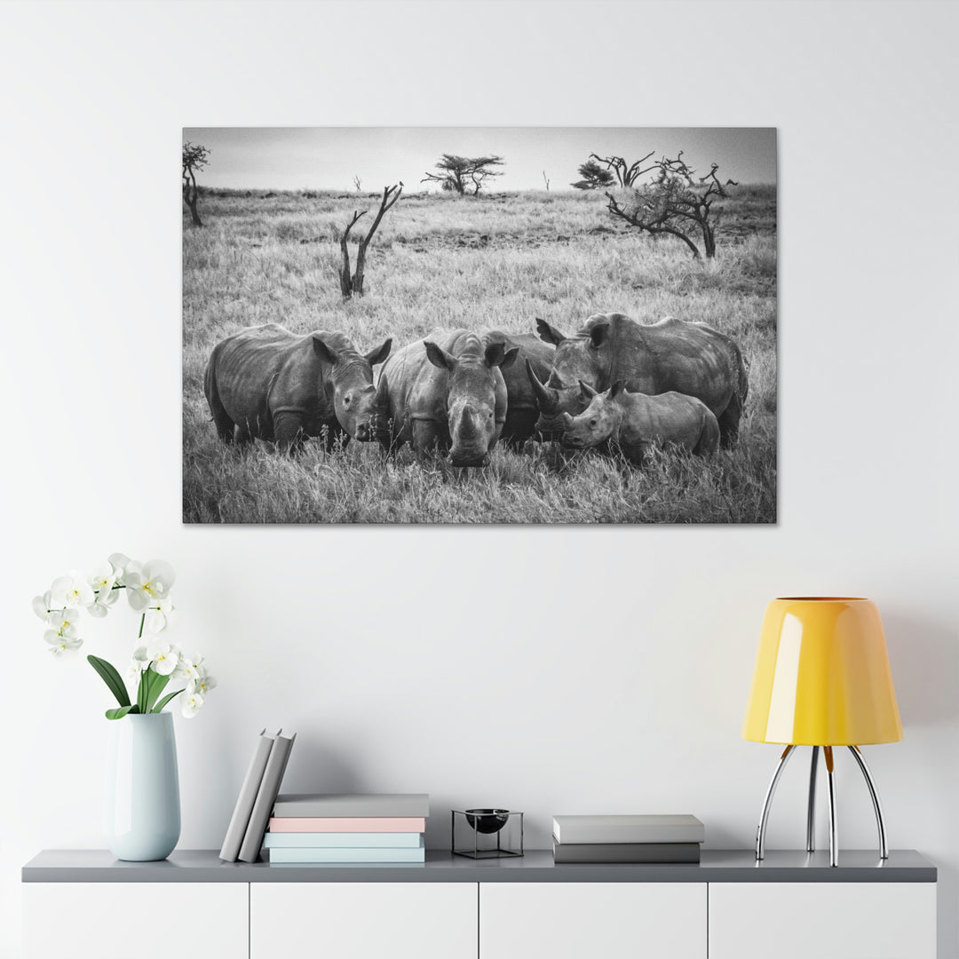 Rhino Family in Black and White - Canvas