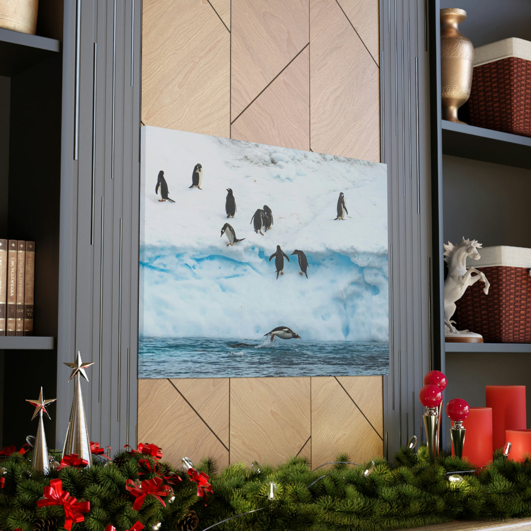 Porpoising Penguin - Canvas