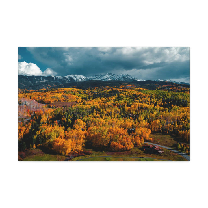 Golds of Autumn - Canvas