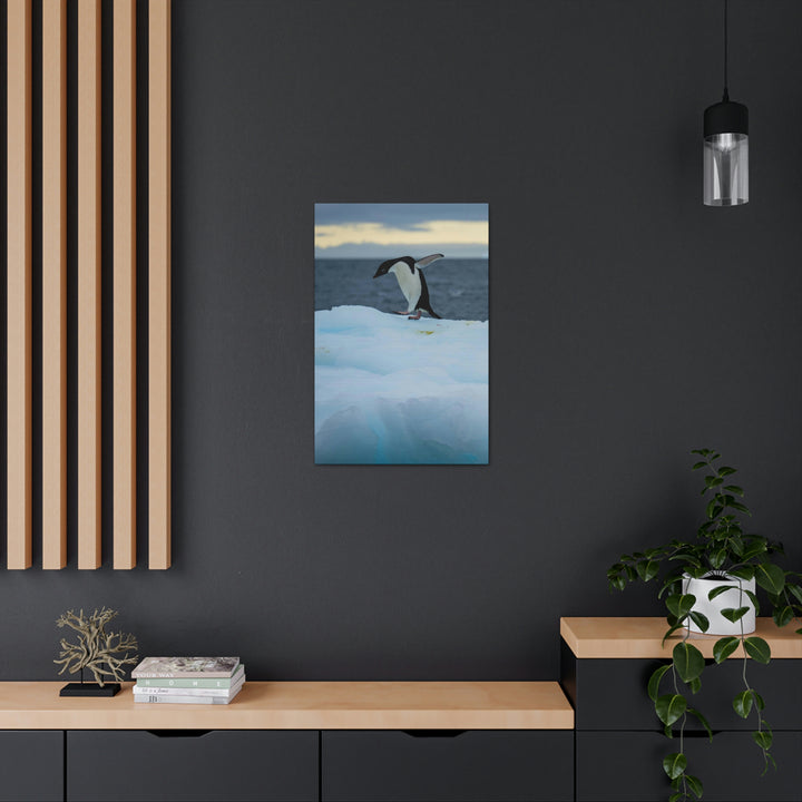 Penguin Dance - Canvas