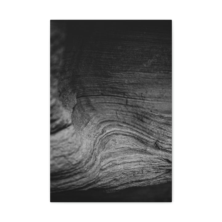 Sedimentary Rock Curves in Black and White - Canvas