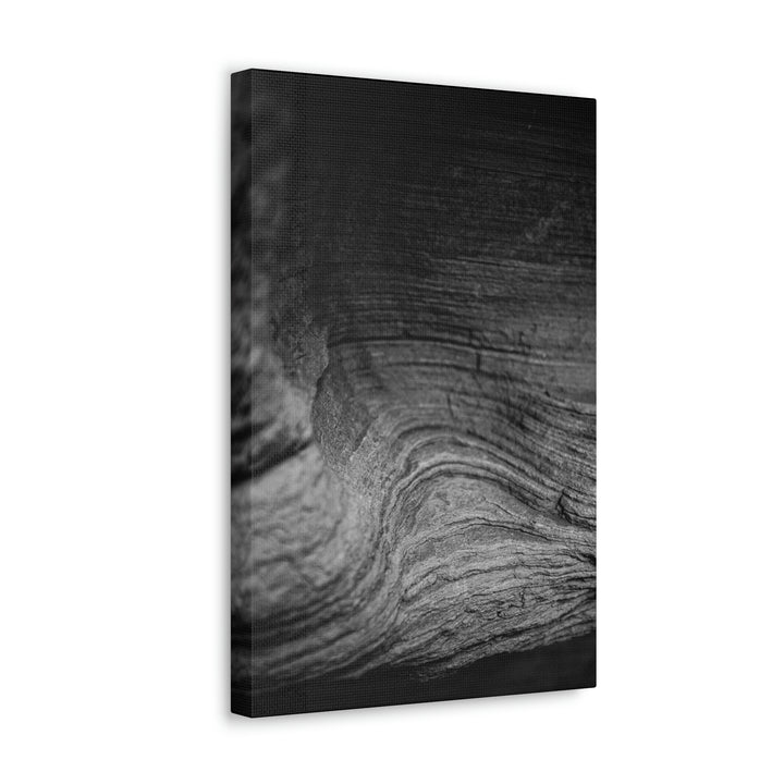 Sedimentary Rock Curves in Black and White - Canvas