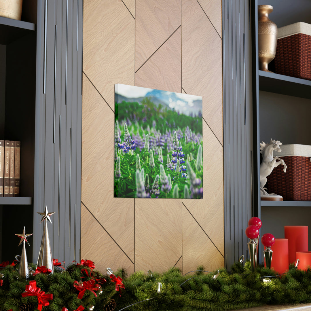 Glowing Lupin with Mountains - Canvas