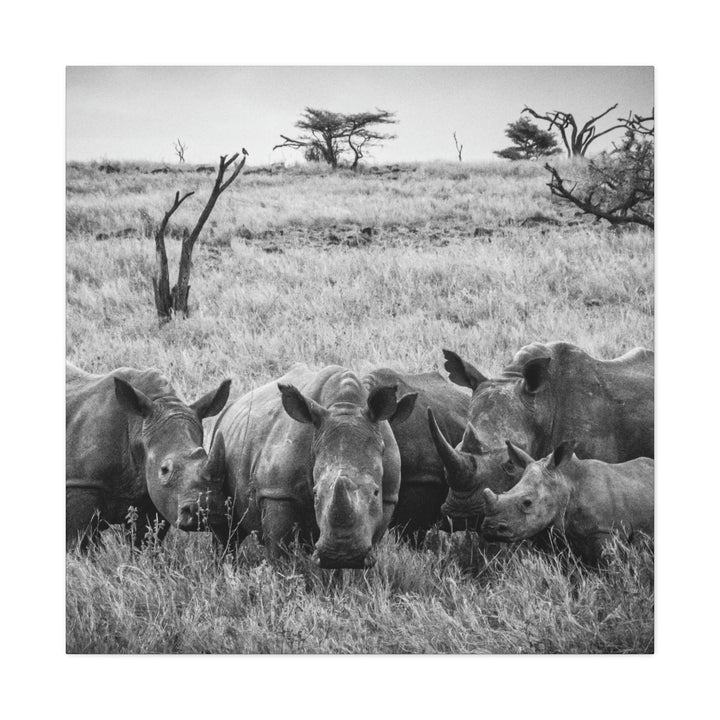 Rhino Family in Black and White - Canvas