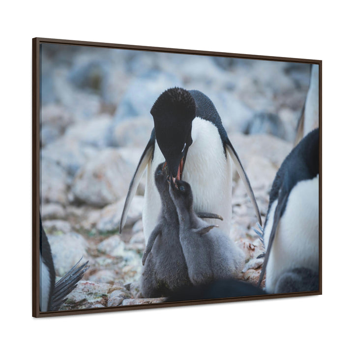 Feeding Time - Canvas with Frame