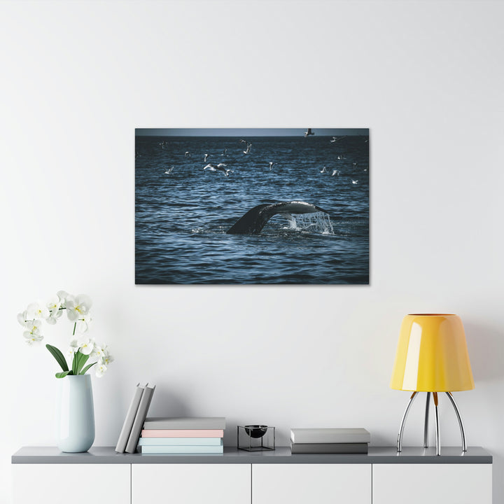 Feeding Tail - Canvas