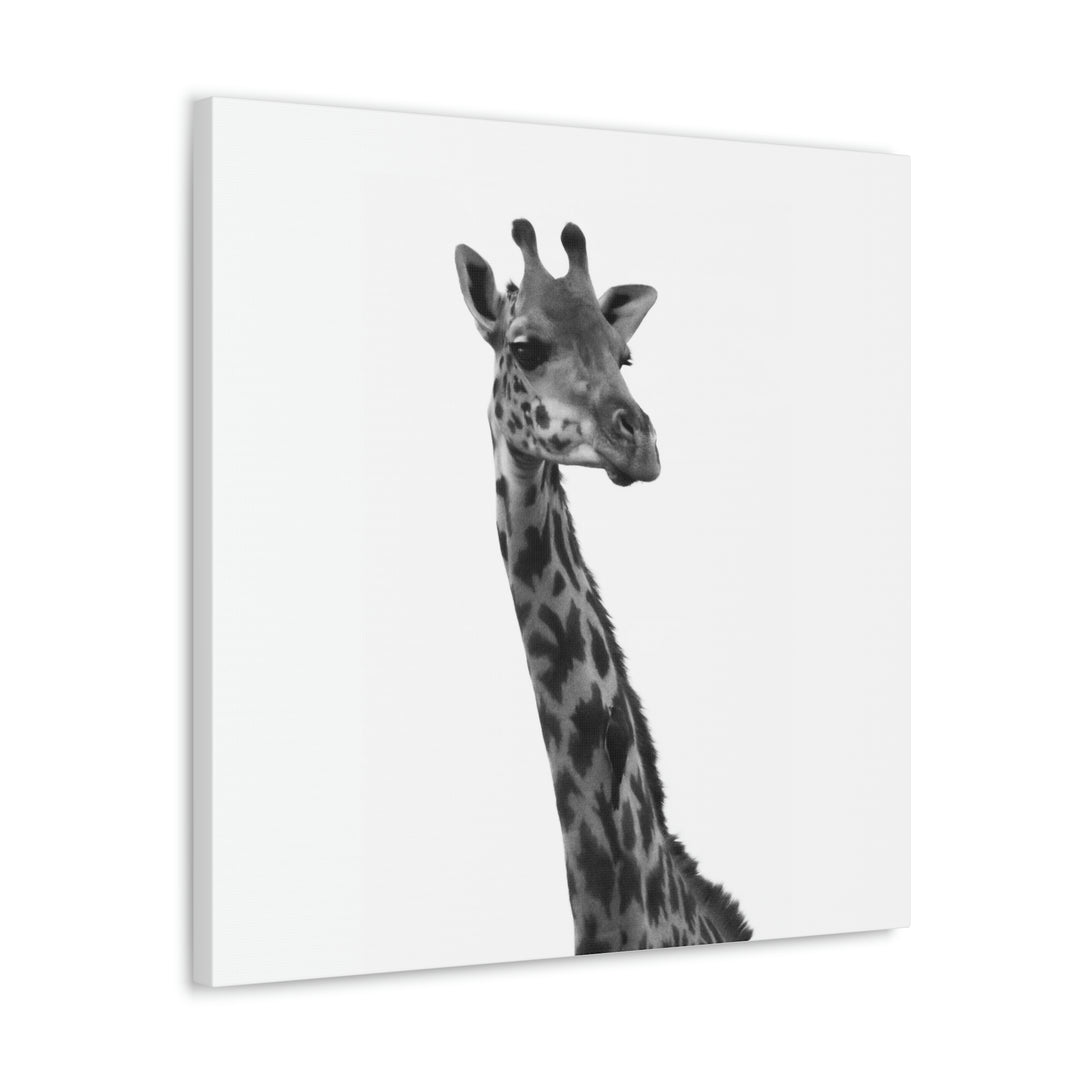 Giraffe Portrait in Black and White  - Canvas