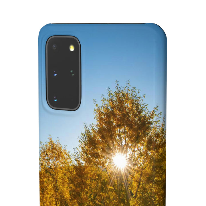 Sun Through the Aspens - Phone Case