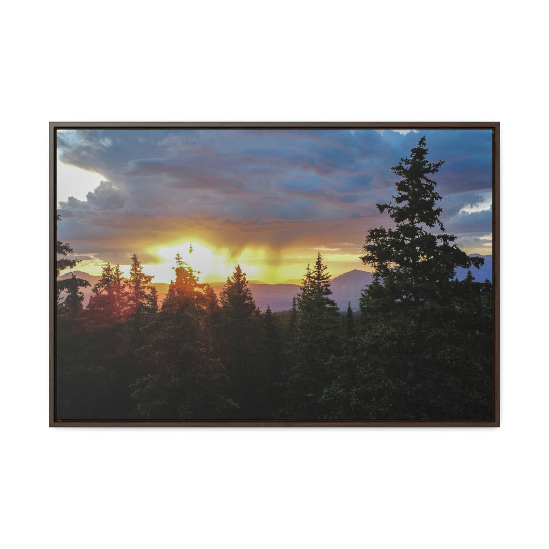 Rainy Sunset Through the Trees - Canvas with Frame