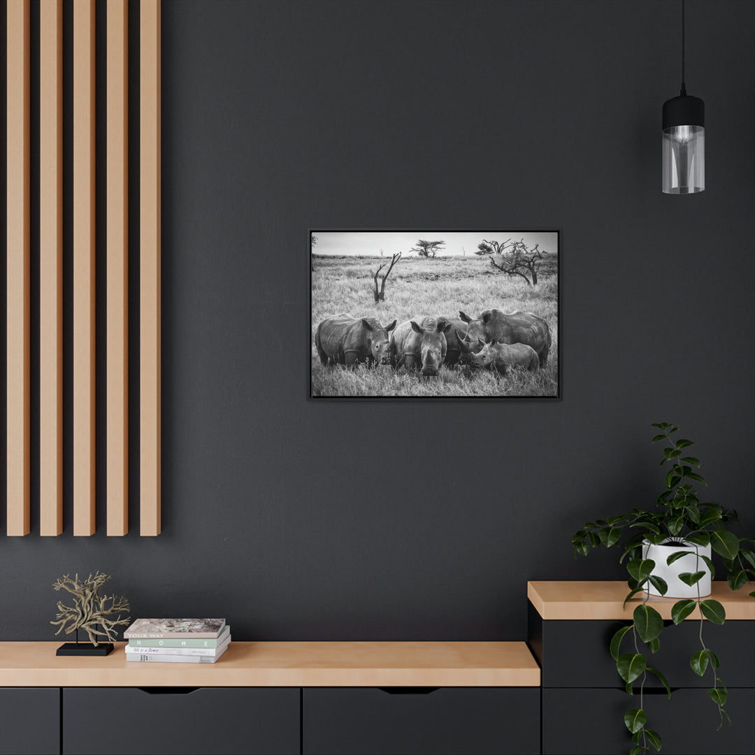 Rhino Family in Black and White - Canvas with Frame