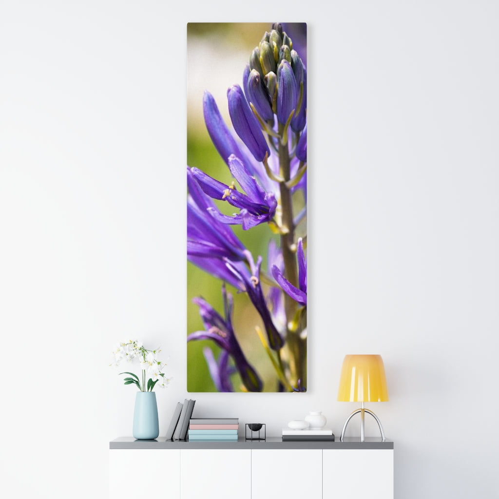 Camas in Bloom - Canvas