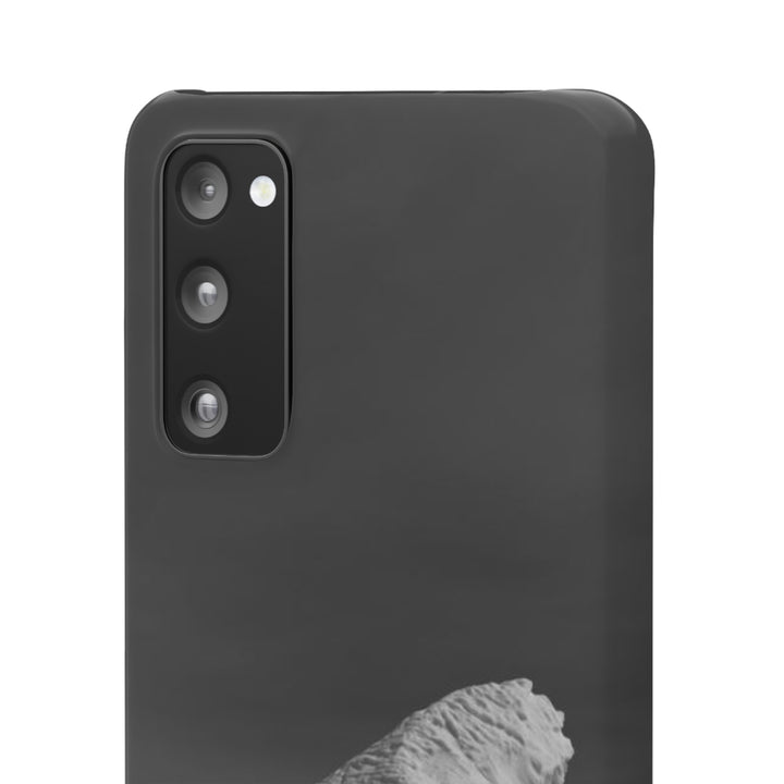 The Angles of an Iceberg in Black and White - Phone Case