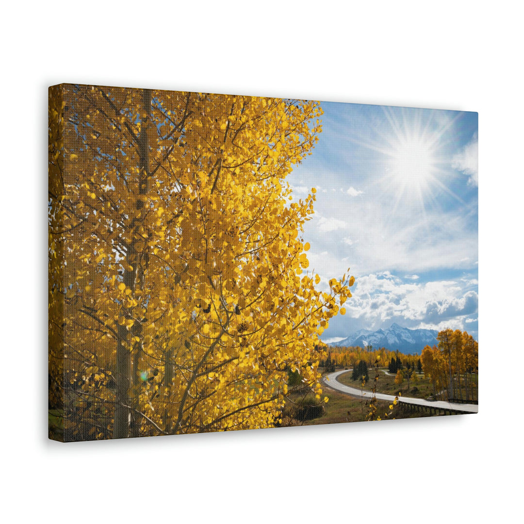 Golden Sunshine - Canvas