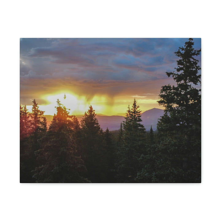 Rainy Sunset Through the Trees - Canvas