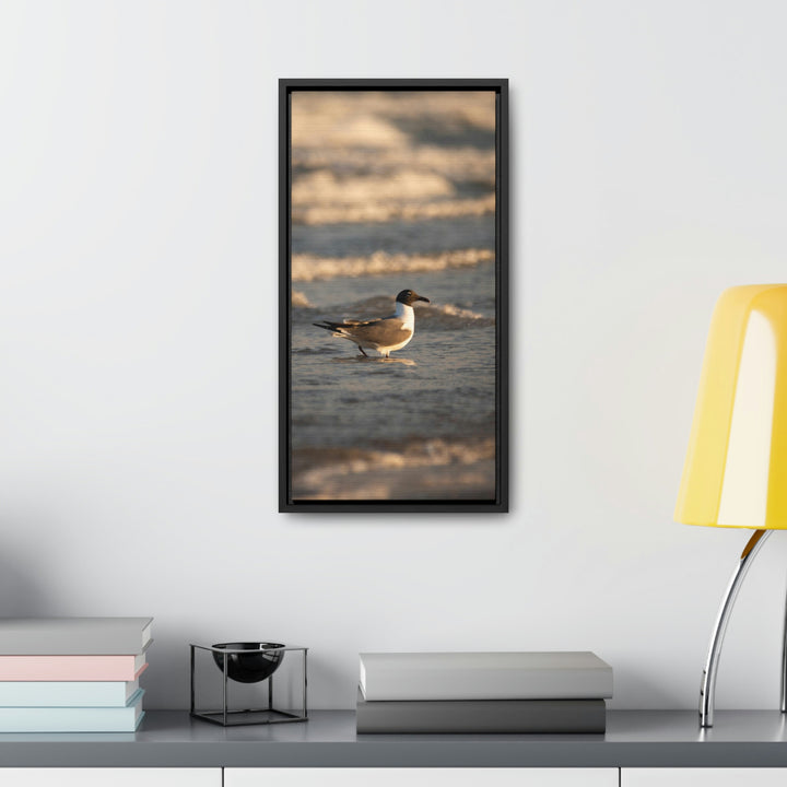 Laughing Gull in the Surf - Canvas with Frame