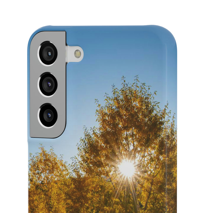 Sun Through the Aspens - Phone Case