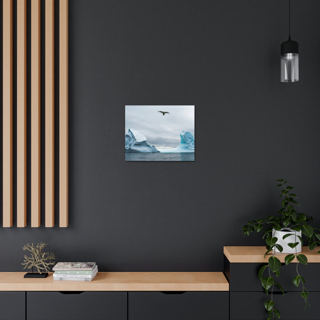 Antarctic Flight - Canvas