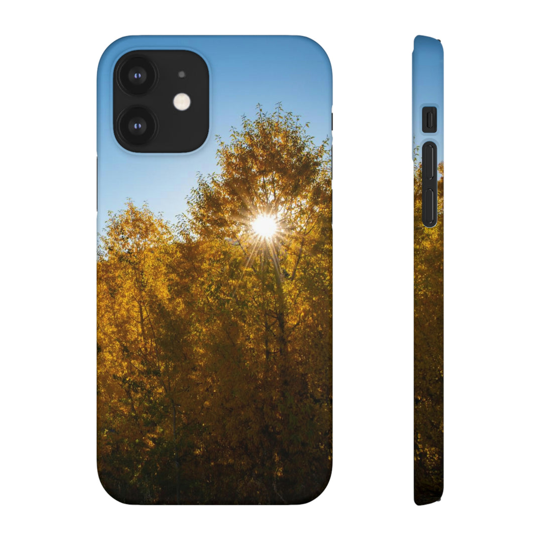 Sun Through the Aspens - Phone Case