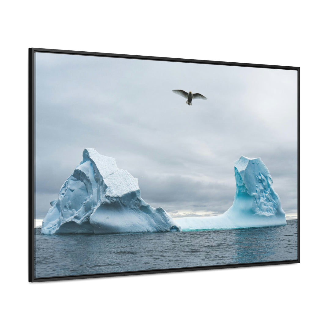 Antarctic Flight - Canvas with Frame