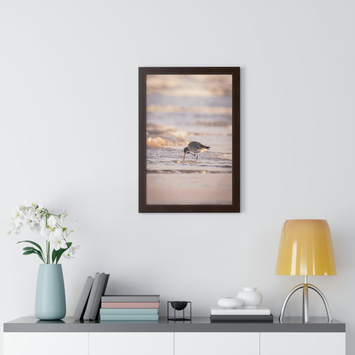 Willet Itch - Framed Print