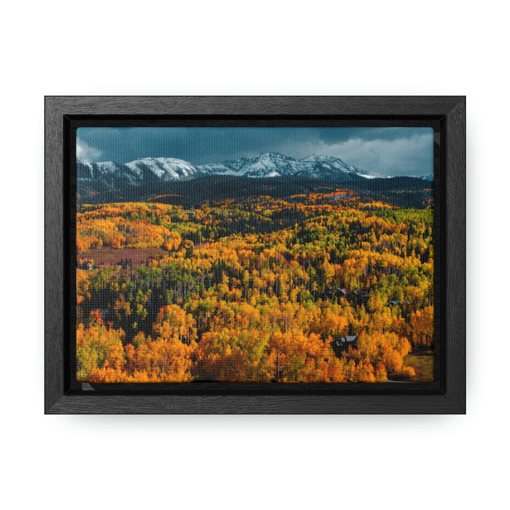 Golds of Autumn - Canvas with Frame