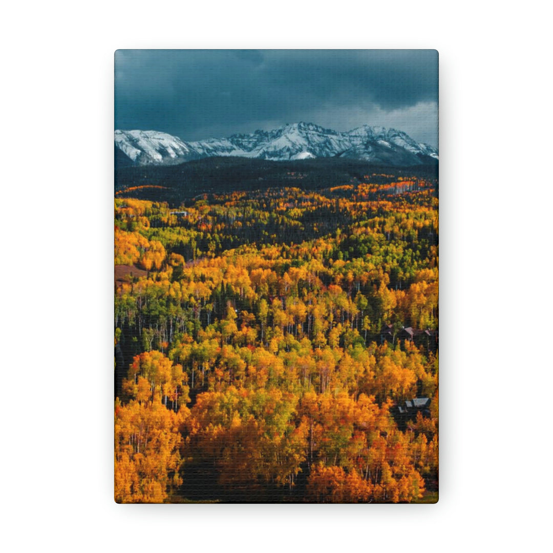 Golds of Autumn - Canvas