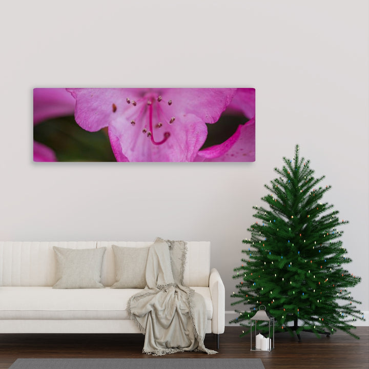 Soft Pinks - Canvas