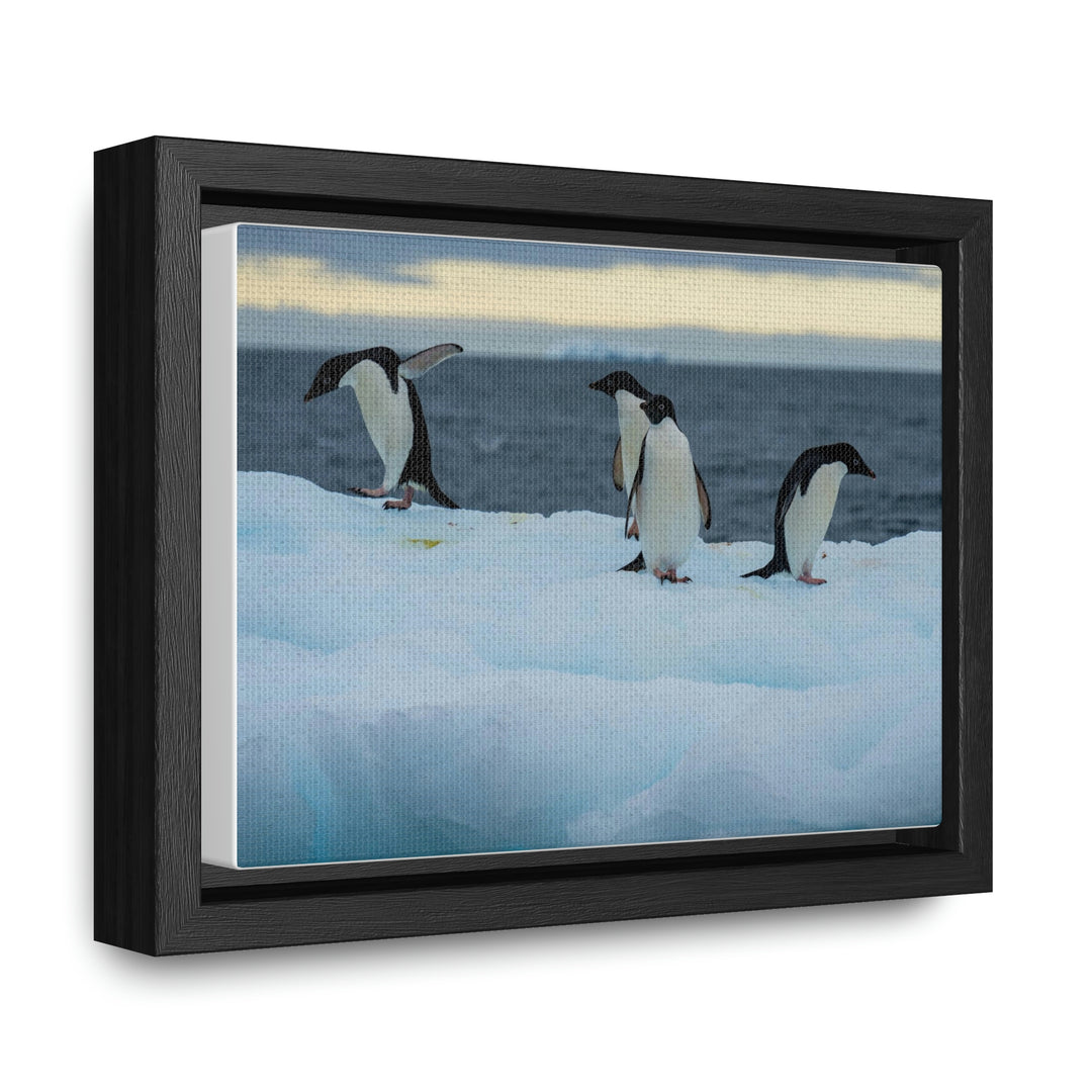 Penguin Dance - Canvas with Frame