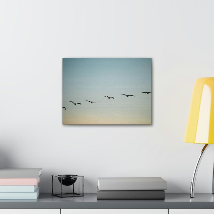 Brown Pelicans in Flight - Canvas