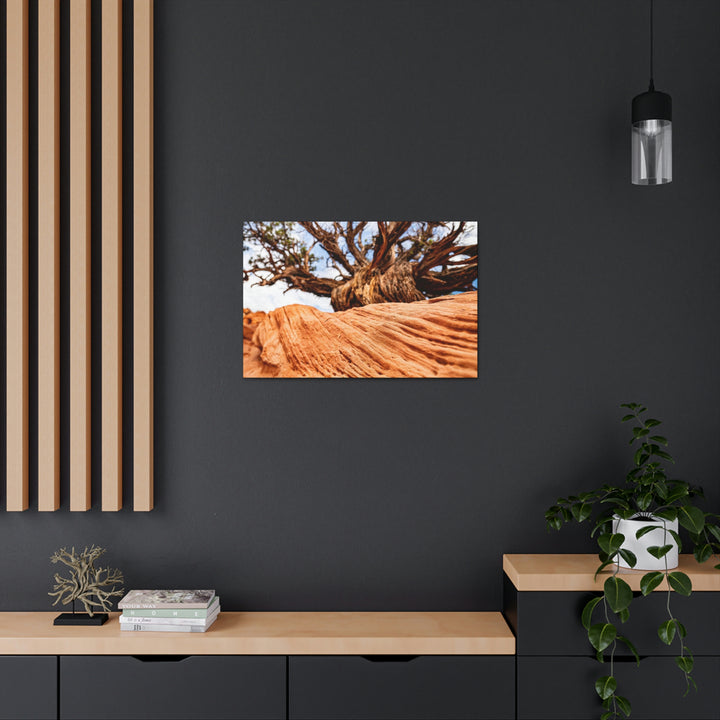 Desert Reach - Canvas