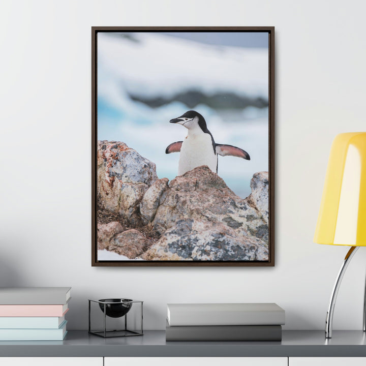 Stretched Penguin - Canvas with Frame