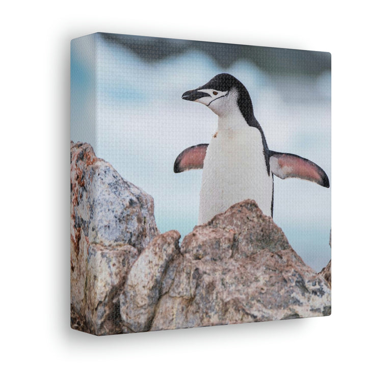 Stretched Penguin - Canvas