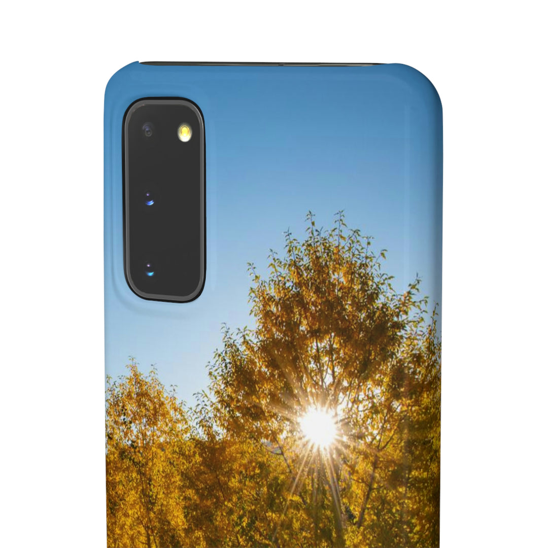 Sun Through the Aspens - Phone Case