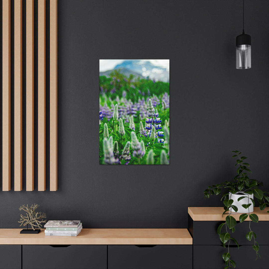 Glowing Lupin with Mountains - Canvas