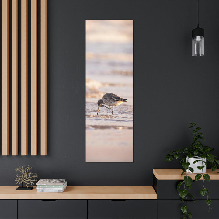 Willet Itch - Canvas