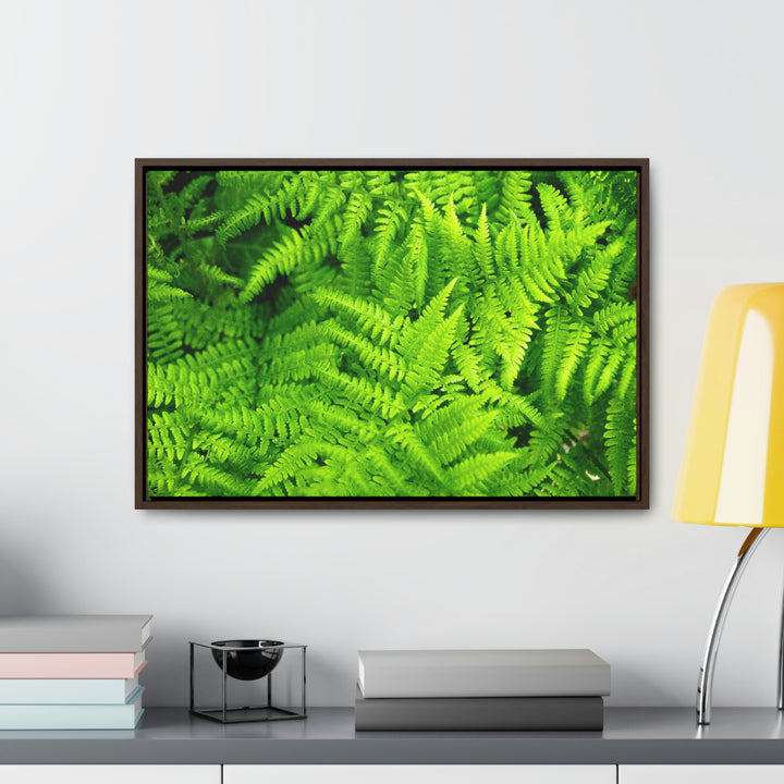 Ferns, Ferns, Ferns - Canvas with Frame