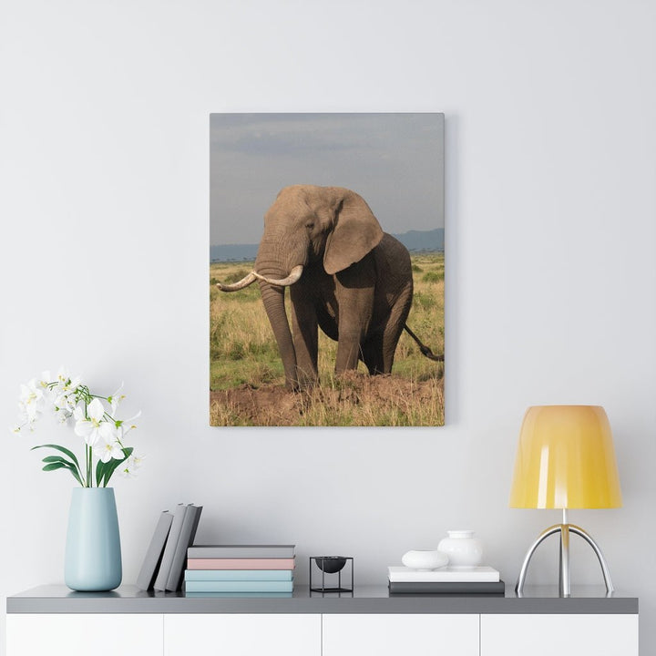 Elephant Stance - Canvas - Visiting This World