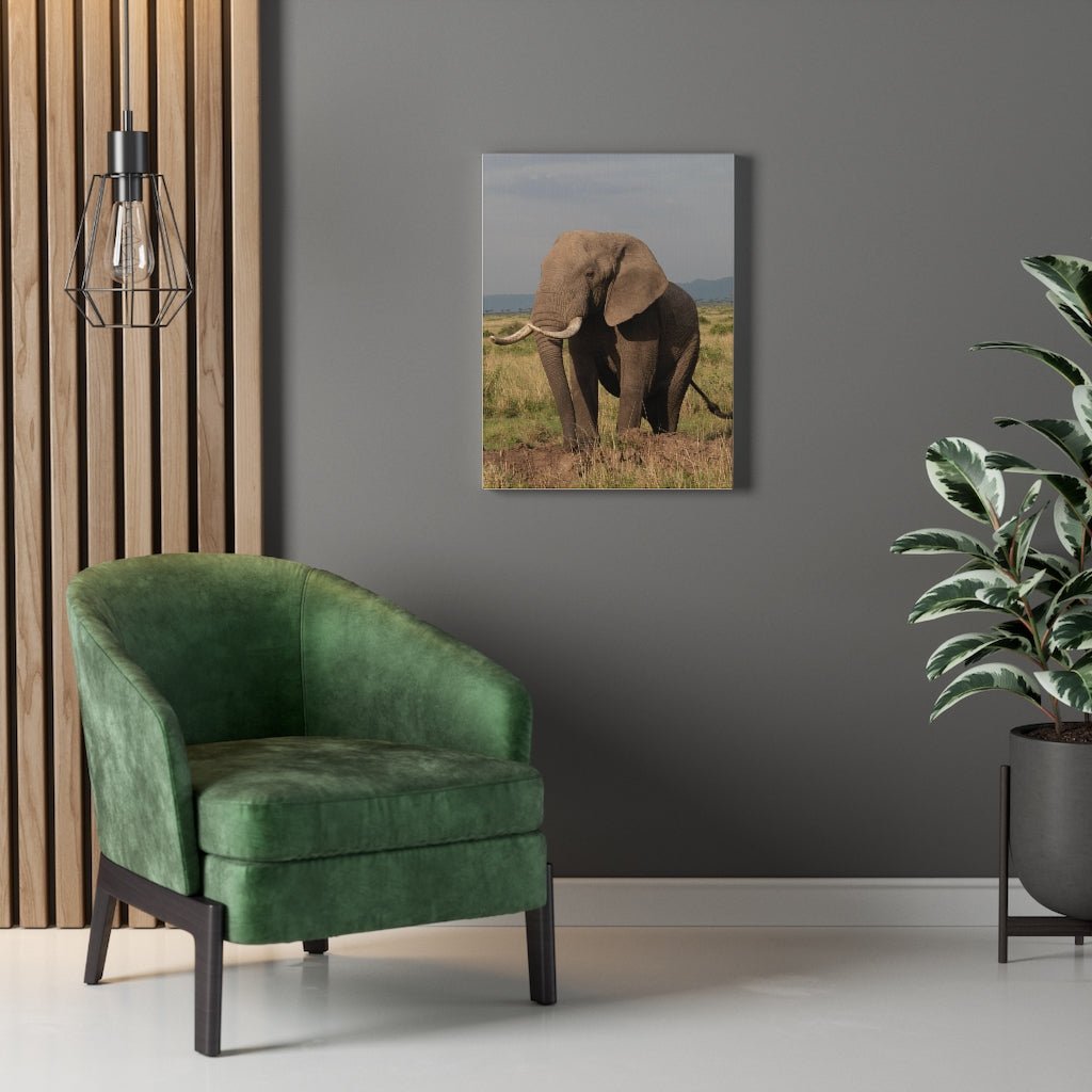 Elephant Stance - Canvas - Visiting This World