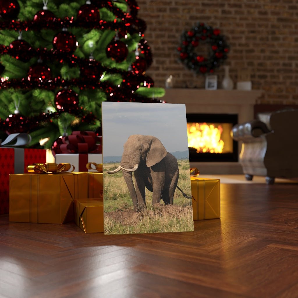 Elephant Stance - Canvas - Visiting This World