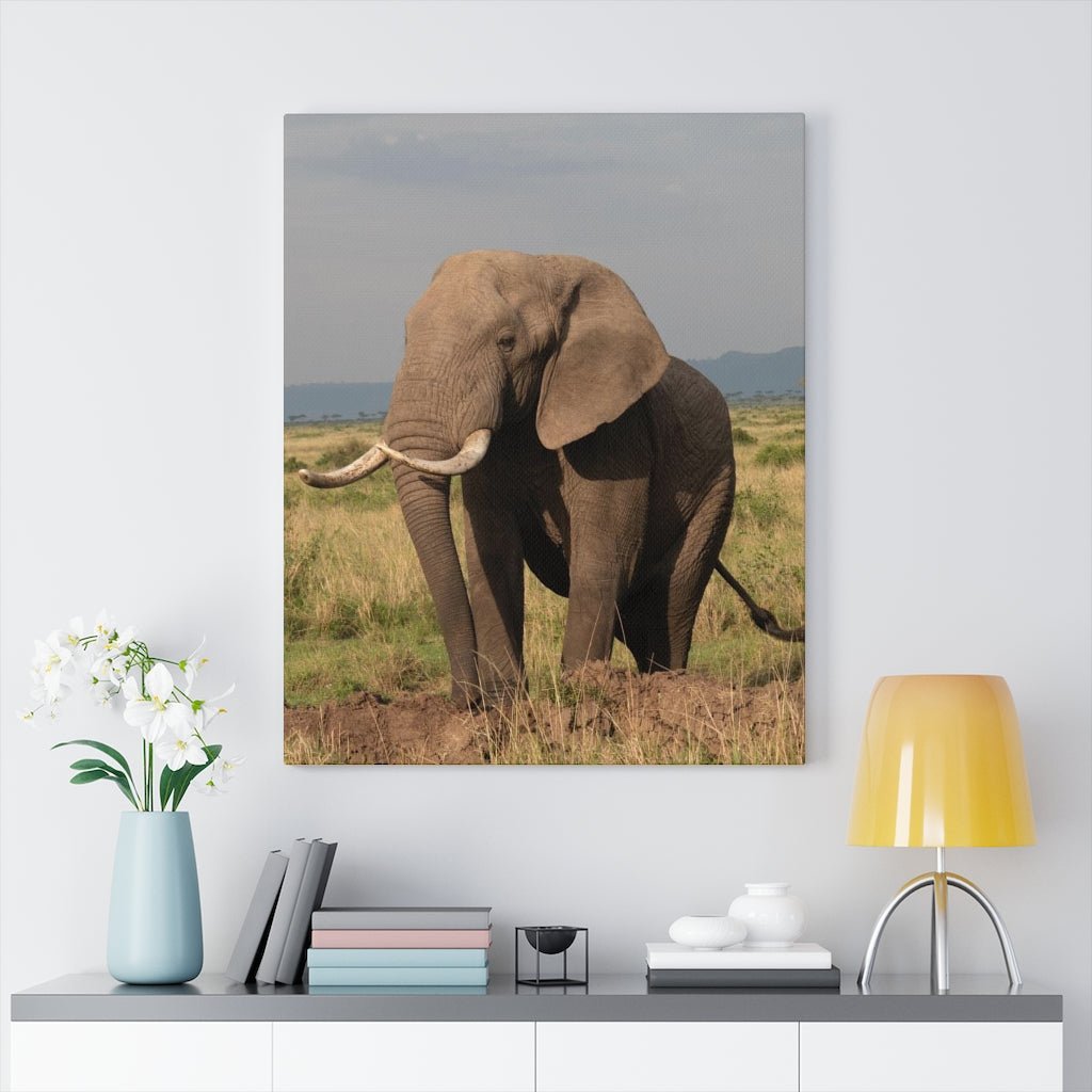 Elephant Stance - Canvas - Visiting This World