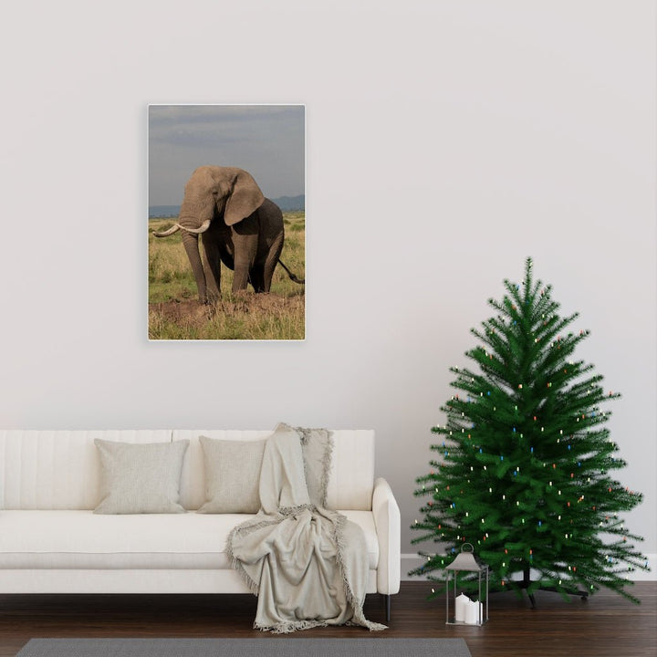 Elephant Stance - Canvas - Visiting This World